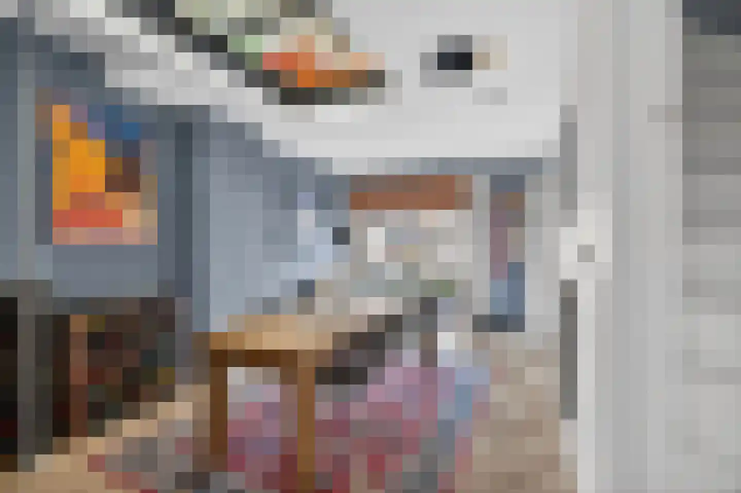 Zwanebloemlaan 214 Amsterdam thumbnail 5