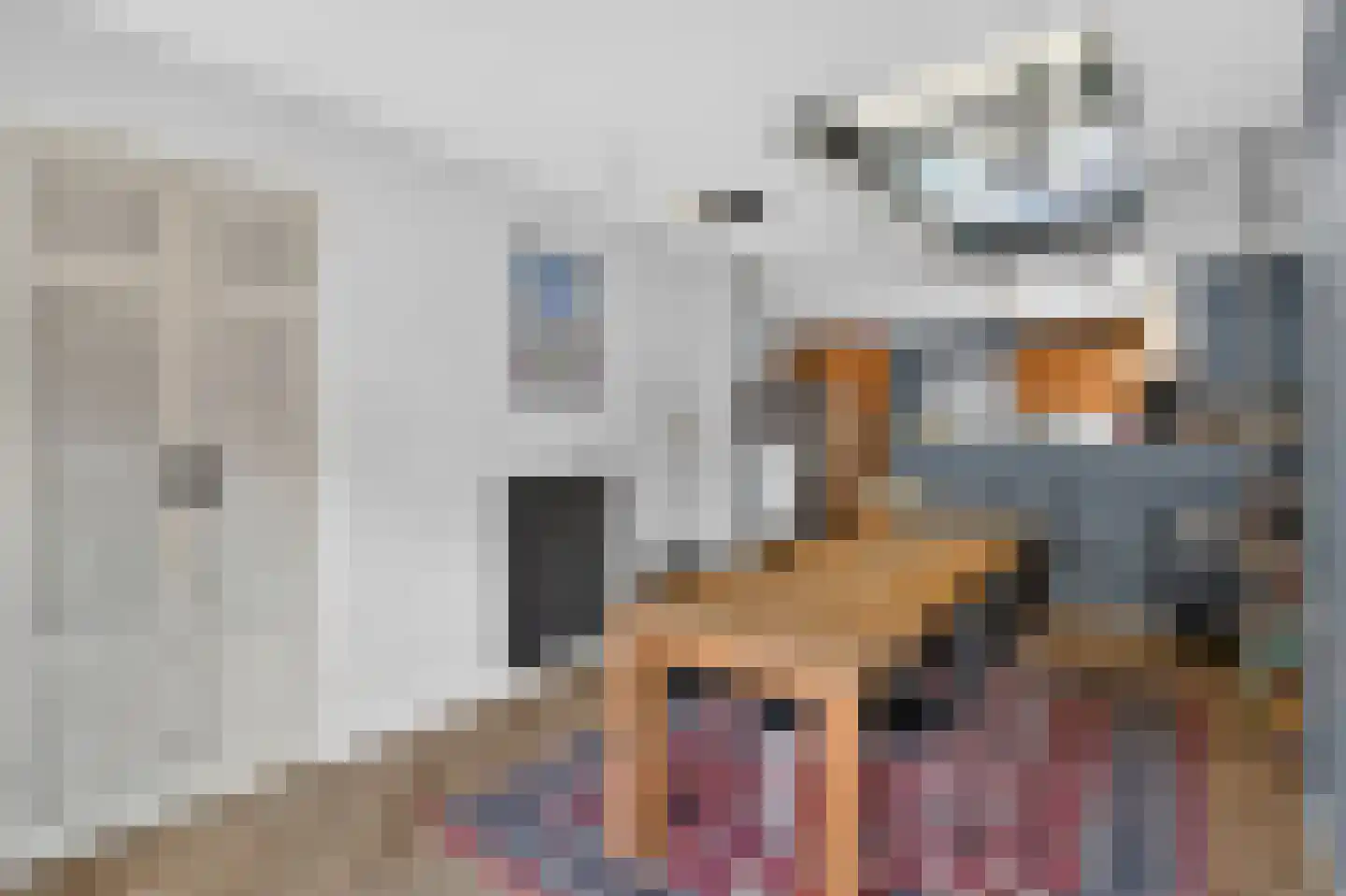 Zwanebloemlaan 214 Amsterdam thumbnail 6