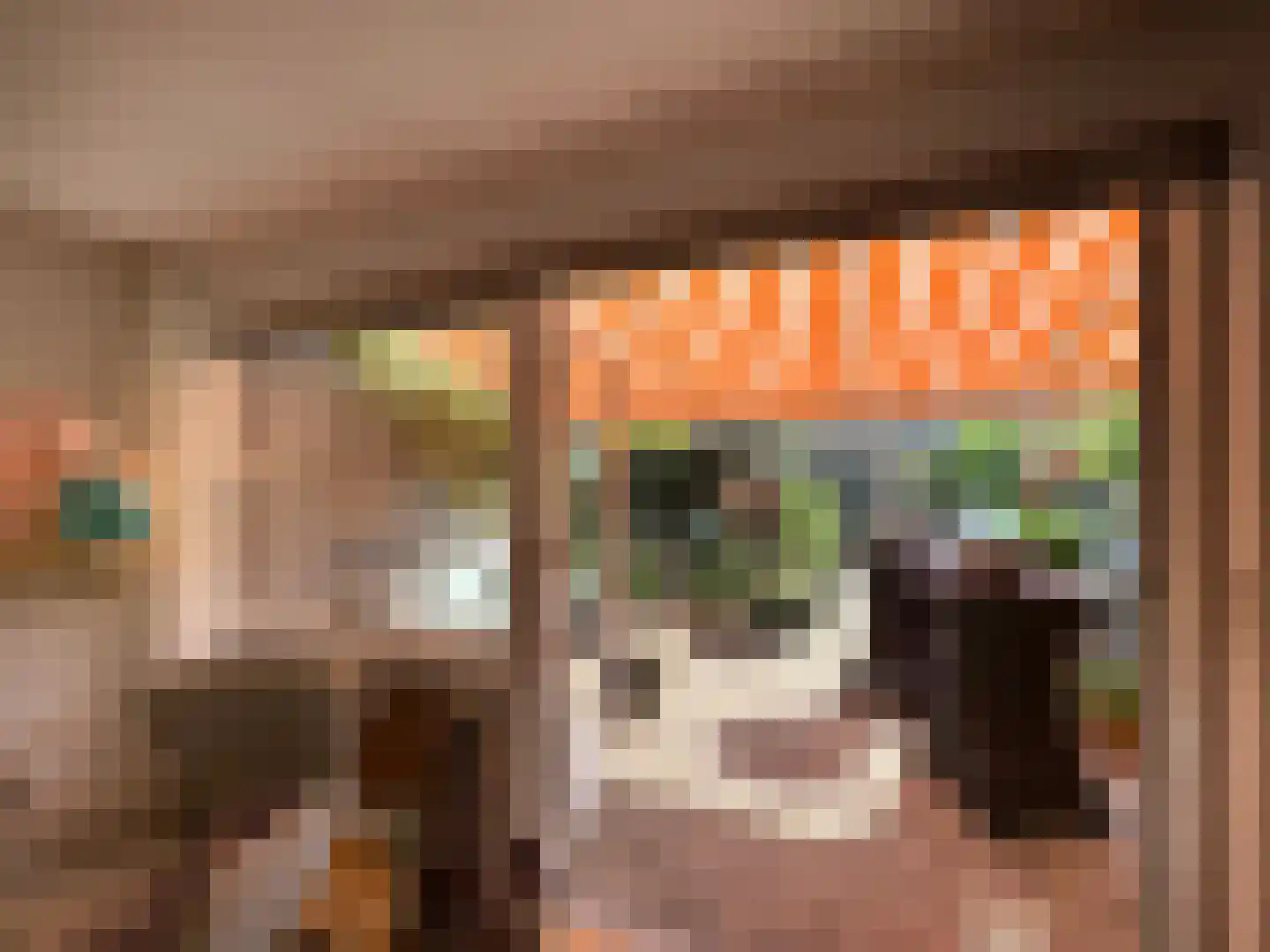 Zwanebloemlaan 22 Amsterdam thumbnail 5