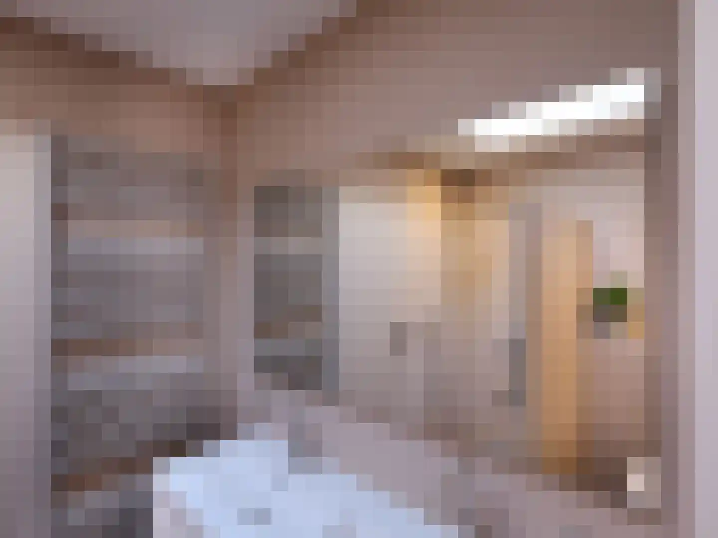 Zwanebloemlaan 22 Amsterdam thumbnail 8