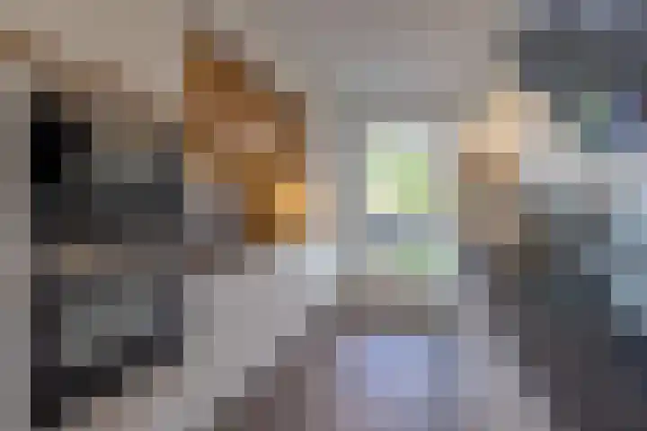 Zwanebloemlaan 24 Amsterdam thumbnail 16
