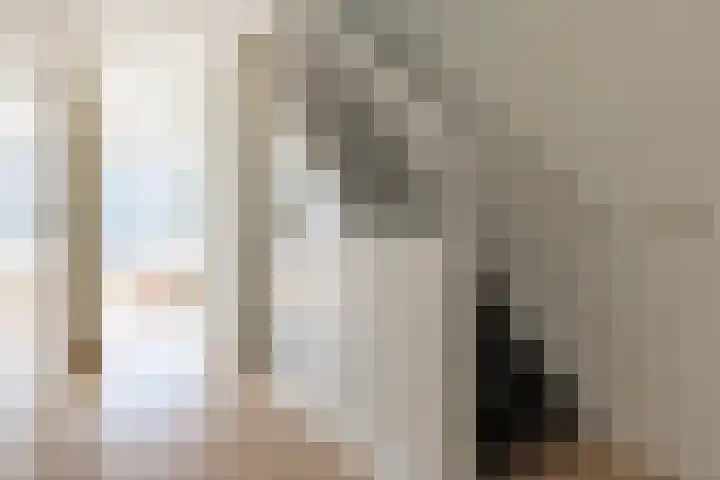 Zwanebloemlaan 24 Amsterdam thumbnail 17