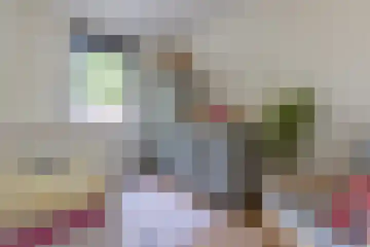 Zwanebloemlaan 24 Amsterdam thumbnail 20