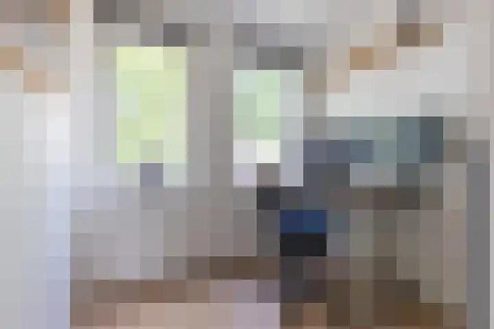 Zwanebloemlaan 24 Amsterdam thumbnail 21