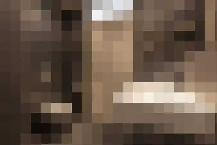 Zwanebloemlaan 24 Amsterdam thumbnail 32