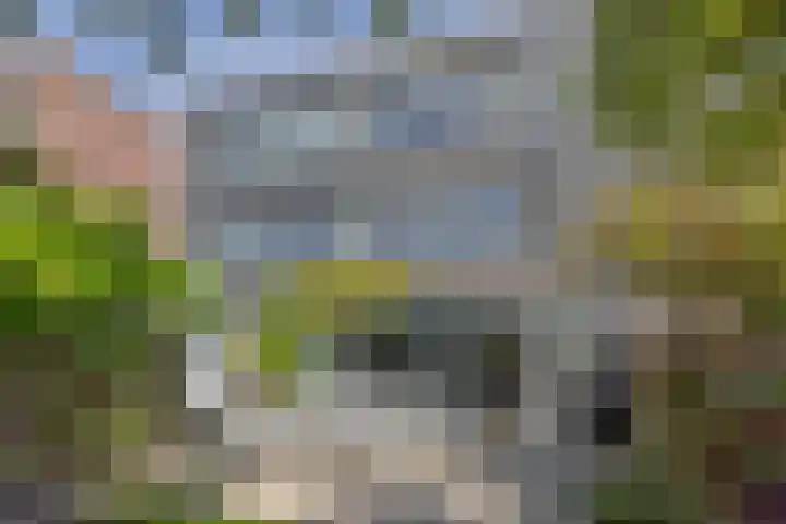 Zwanebloemlaan 24 Amsterdam thumbnail 33