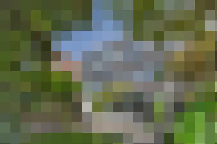 Zwanebloemlaan 24 Amsterdam thumbnail 34