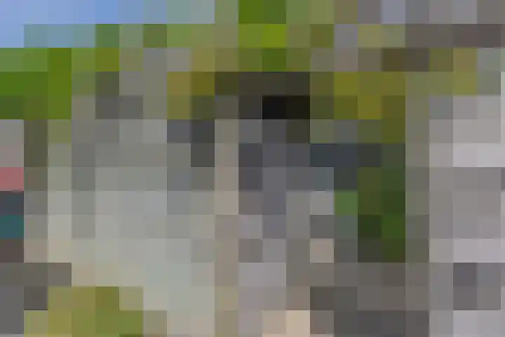 Zwanebloemlaan 24 Amsterdam thumbnail 35