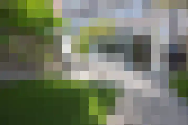 Zwanebloemlaan 24 Amsterdam thumbnail 36