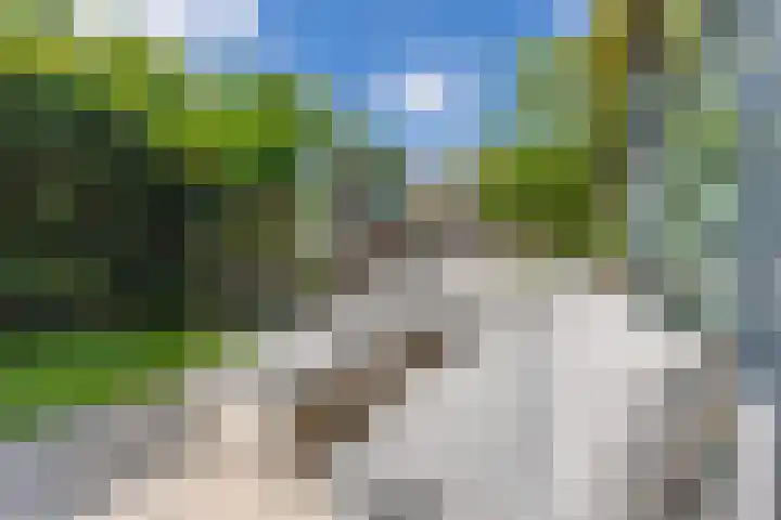 Zwanebloemlaan 24 Amsterdam thumbnail 37