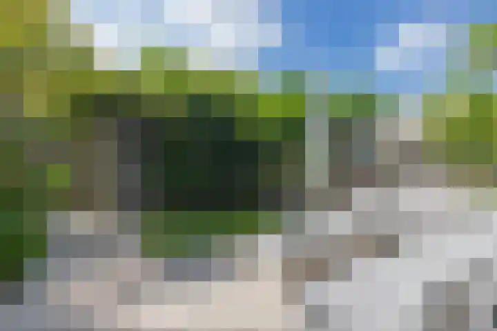 Zwanebloemlaan 24 Amsterdam thumbnail 38