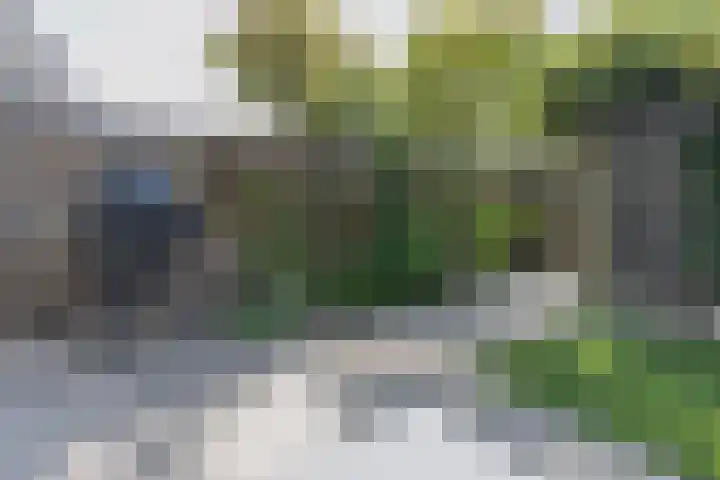 Zwanebloemlaan 24 Amsterdam thumbnail 39