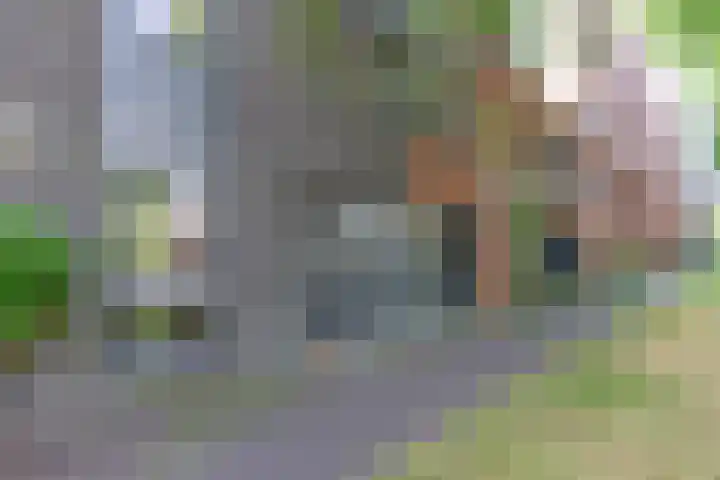 Zwanebloemlaan 24 Amsterdam thumbnail 40