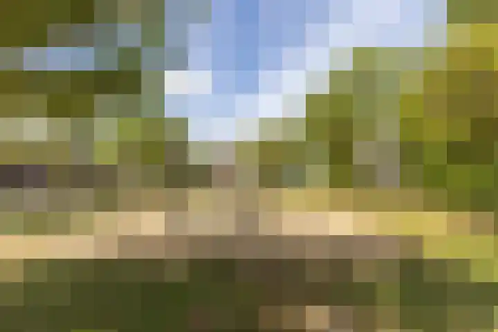 Zwanebloemlaan 24 Amsterdam thumbnail 41