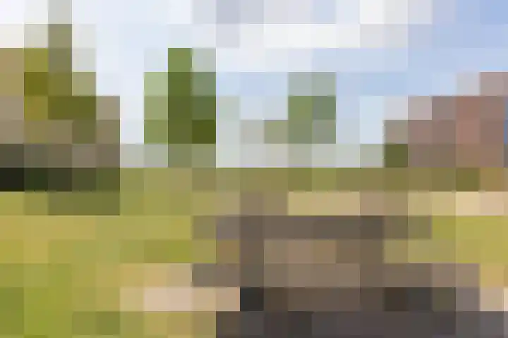 Zwanebloemlaan 24 Amsterdam thumbnail 43