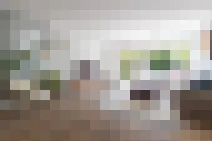 Zwanebloemlaan 24 Amsterdam thumbnail 6