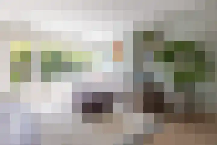 Zwanebloemlaan 24 Amsterdam thumbnail 7