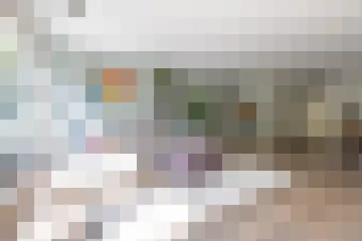 Zwanebloemlaan 24 Amsterdam thumbnail 8