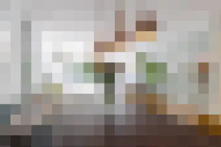 Zwanebloemlaan 24 Amsterdam thumbnail 9