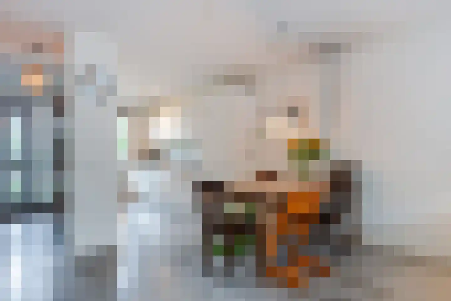 Zwanebloemlaan 270 Amsterdam thumbnail 18