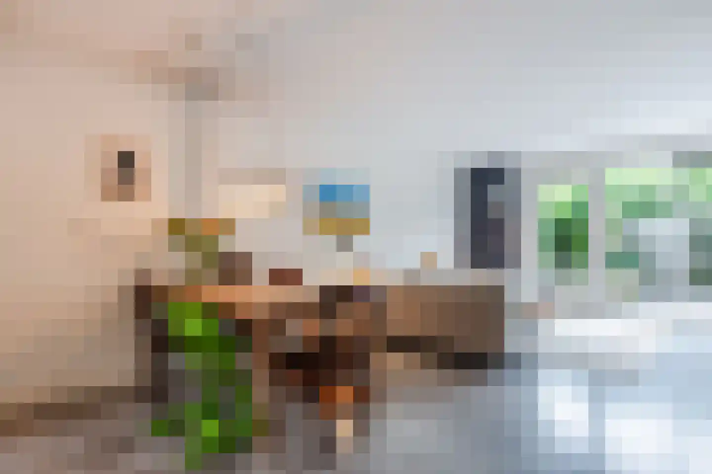 Zwanebloemlaan 270 Amsterdam thumbnail 19