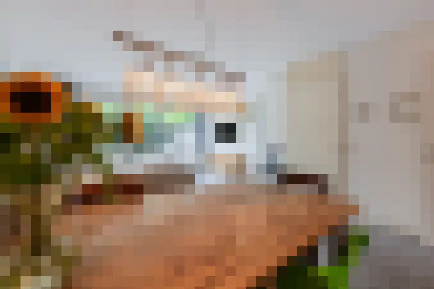 Zwanebloemlaan 270 Amsterdam thumbnail 20