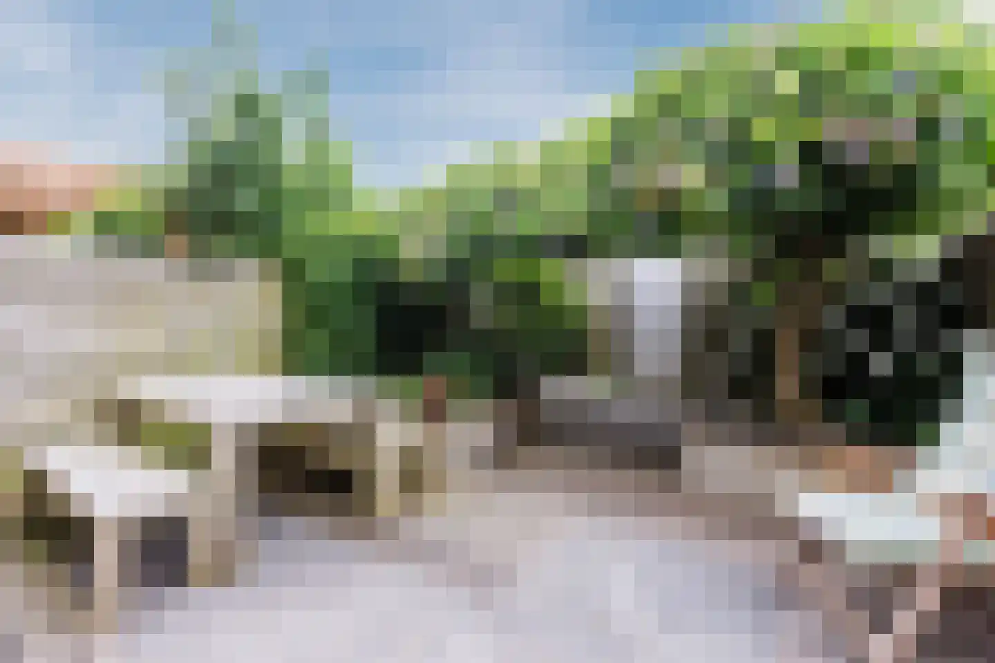 Zwanebloemlaan 270 Amsterdam thumbnail 5