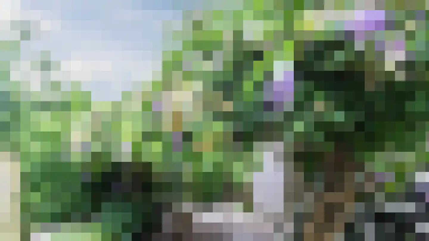 Zwanebloemlaan 270 Amsterdam thumbnail 52