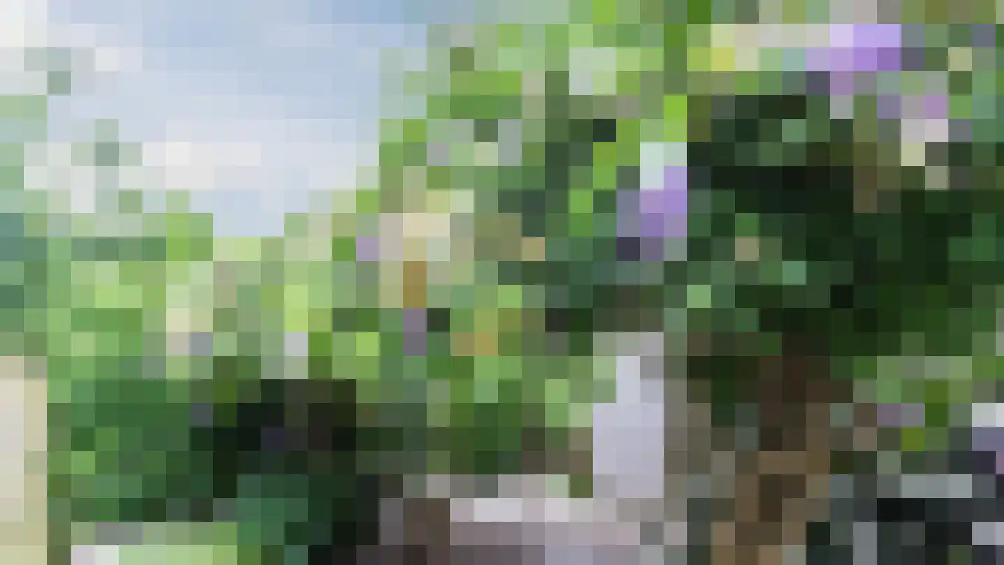 Zwanebloemlaan 270 Amsterdam thumbnail 53