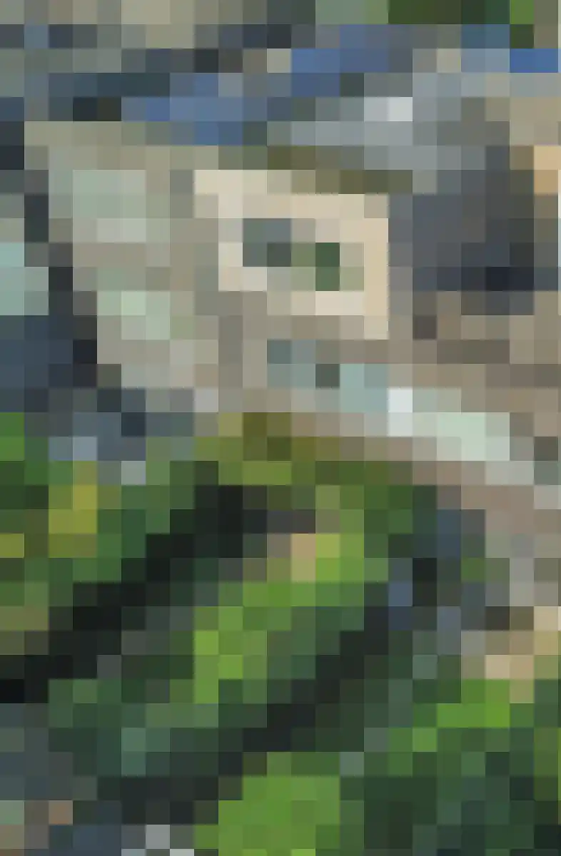 Zwanebloemlaan 270 Amsterdam thumbnail 59