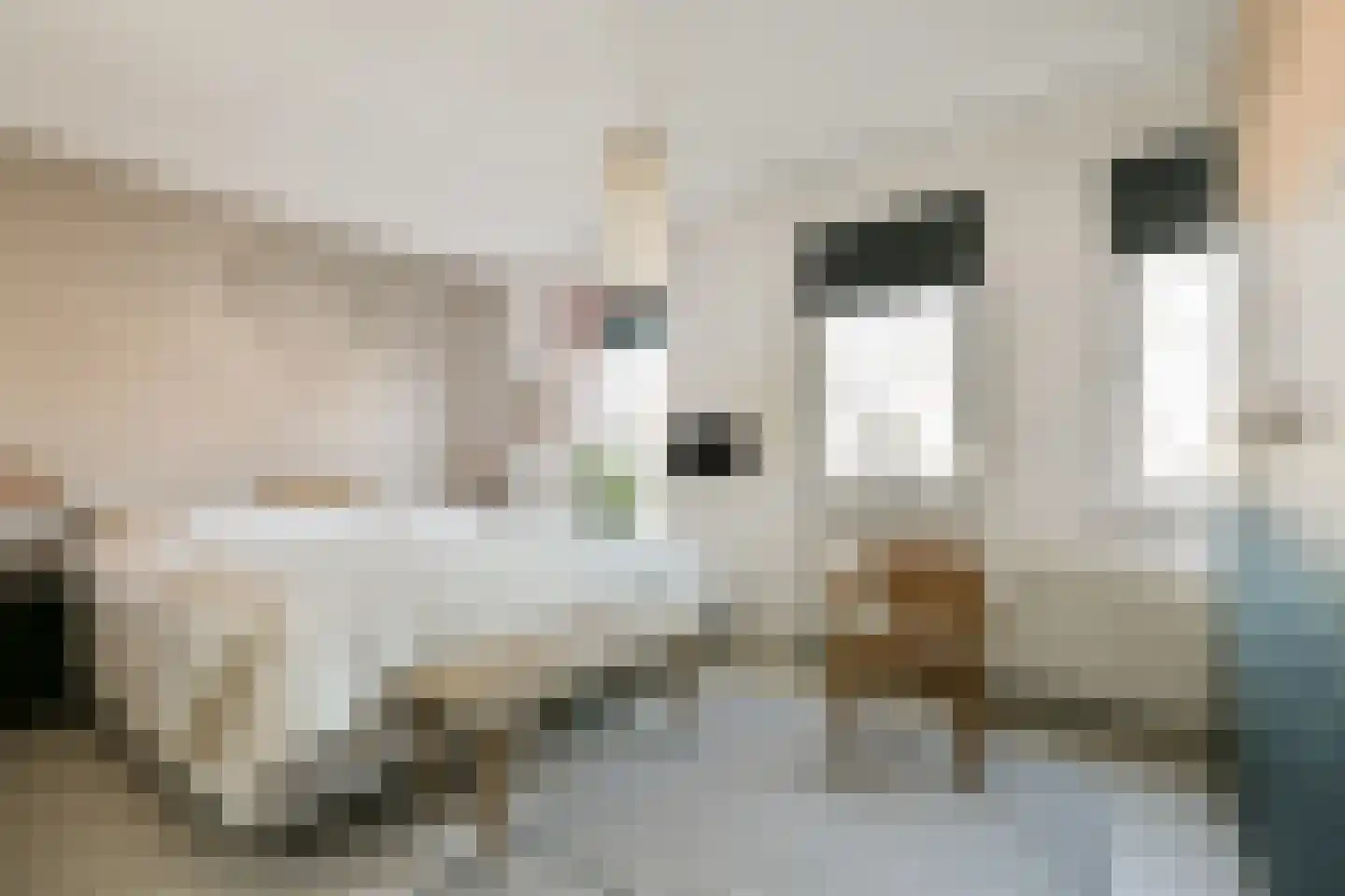 Zwanebloemlaan 282 Amsterdam thumbnail 17