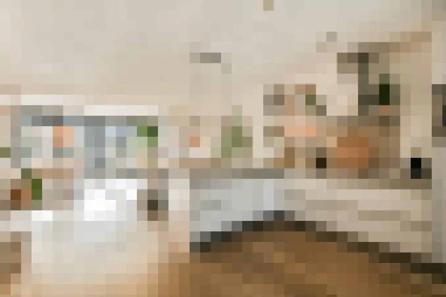 Zwanebloemlaan 282 Amsterdam thumbnail 5