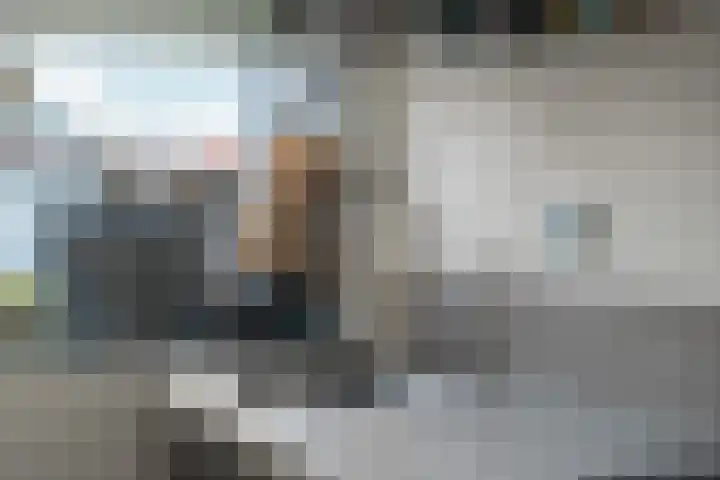 Zwanebloemlaan 3 Arnhem thumbnail 12