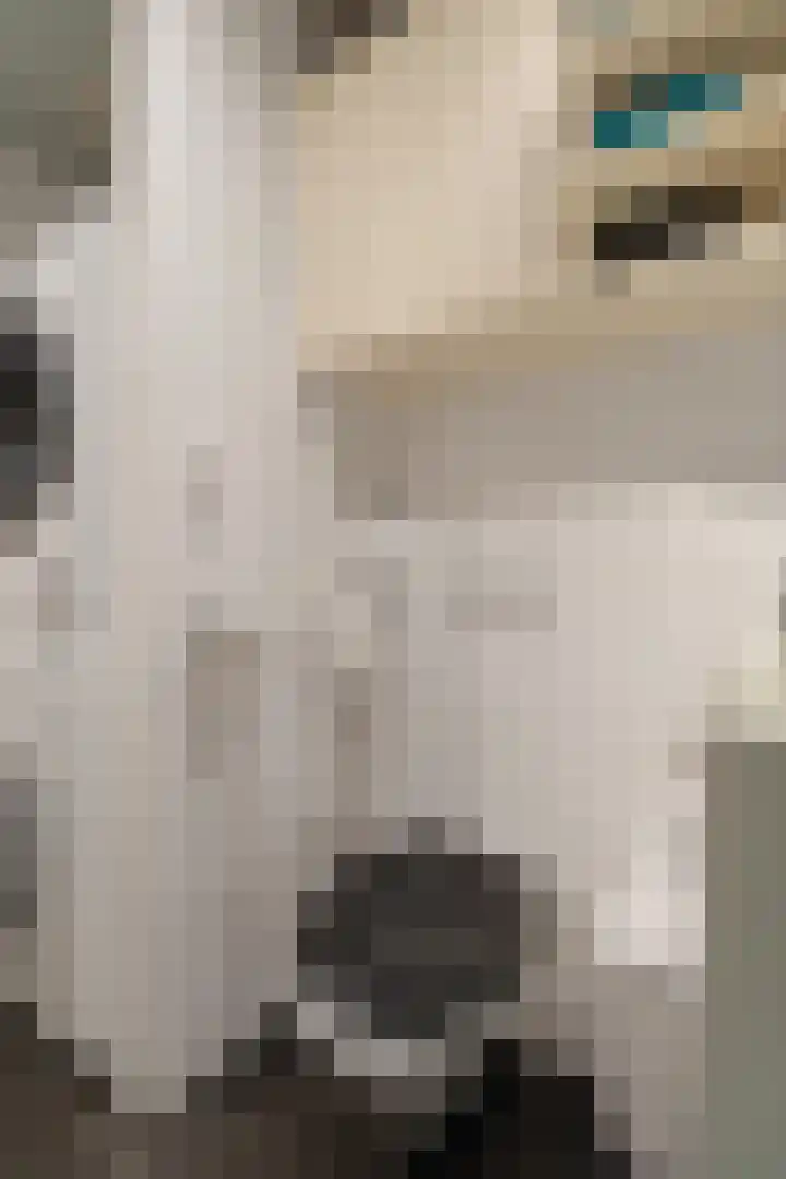 Zwanebloemlaan 3 Arnhem thumbnail 22
