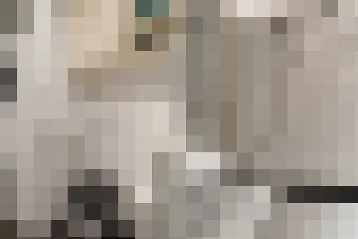 Zwanebloemlaan 3 Arnhem thumbnail 23