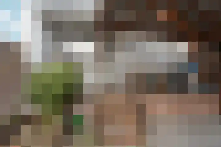 Zwanebloemlaan 3 Arnhem thumbnail 30