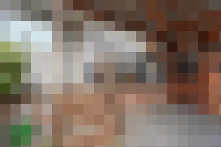 Zwanebloemlaan 3 Arnhem thumbnail 31