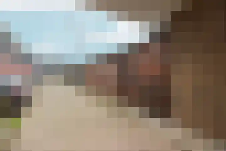 Zwanebloemlaan 3 Arnhem thumbnail 33