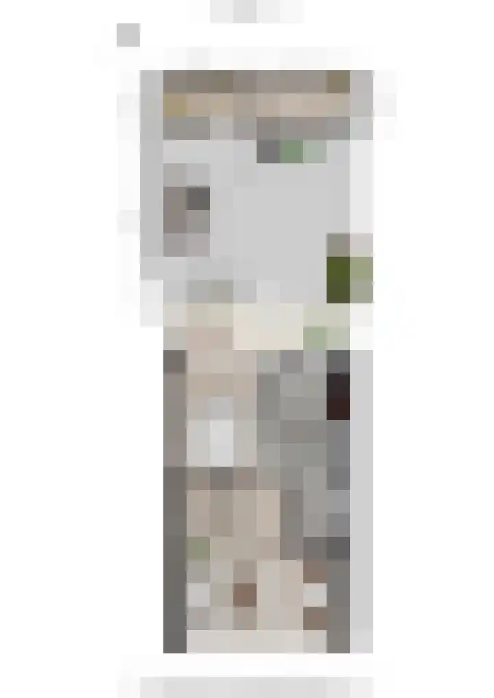 Zwanebloemlaan 3 Arnhem thumbnail 35