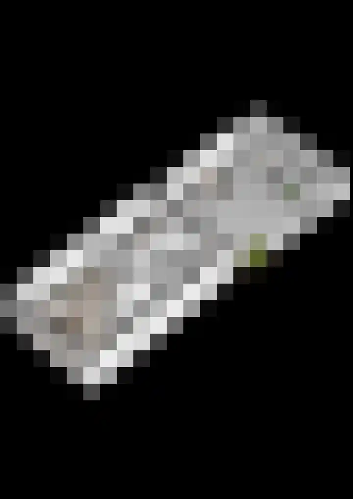 Zwanebloemlaan 3 Arnhem thumbnail 36