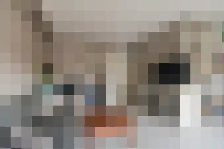 Zwanebloemlaan 3 Arnhem thumbnail 7
