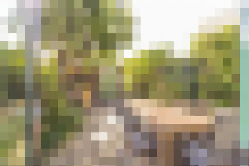 Zwanebloemlaan 312 Amsterdam thumbnail 5
