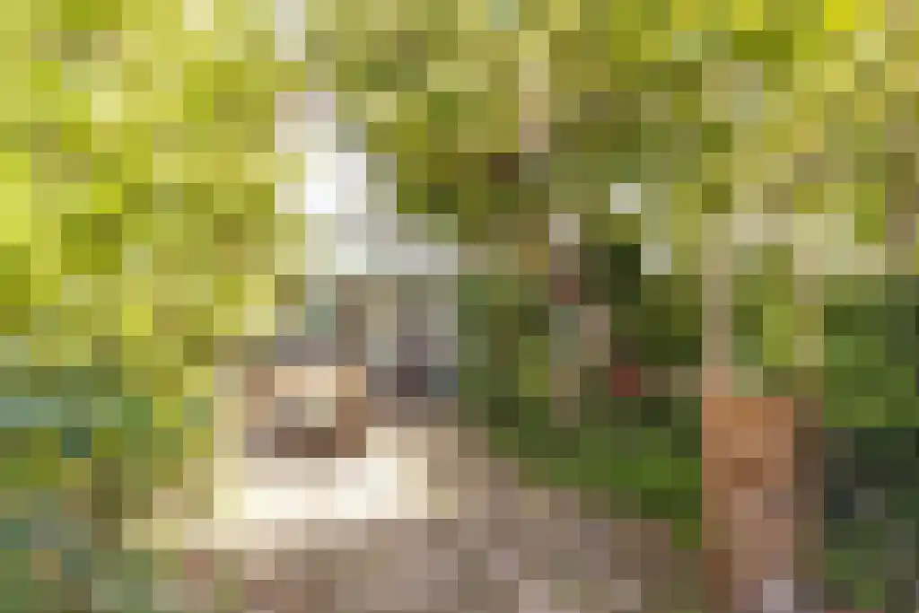 Zwanebloemlaan 312 Amsterdam thumbnail 6