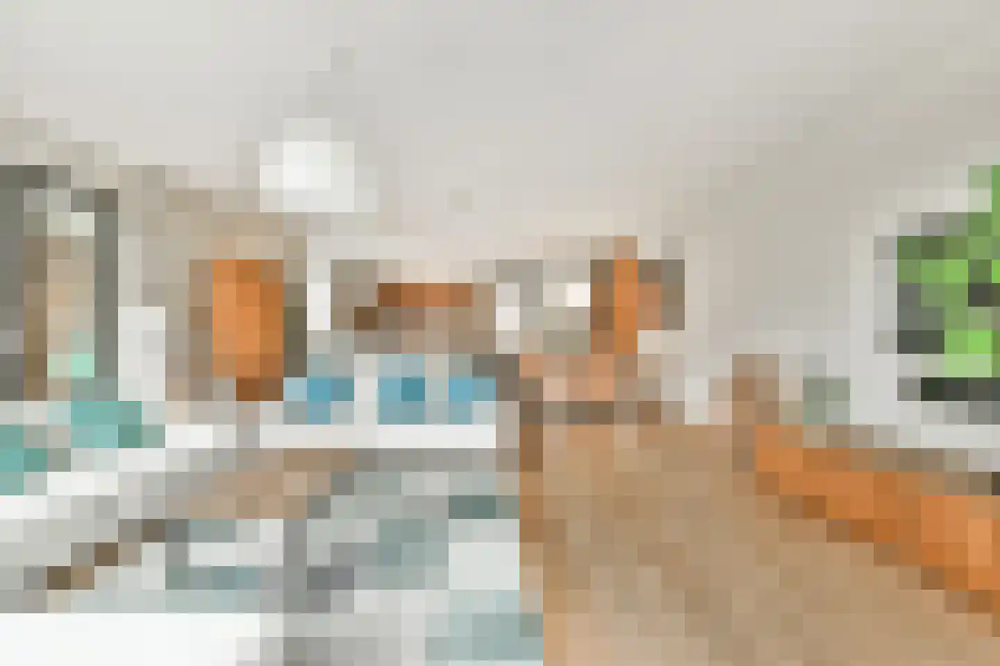 Zwanebloemlaan 39 Amsterdam thumbnail 10
