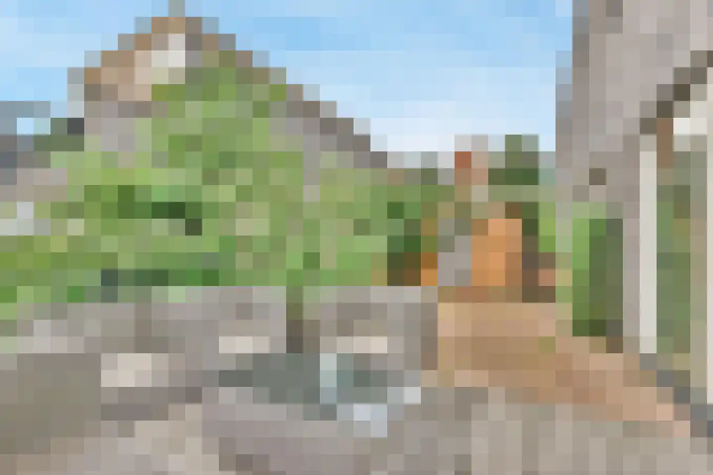 Zwanebloemlaan 39 Amsterdam thumbnail 17