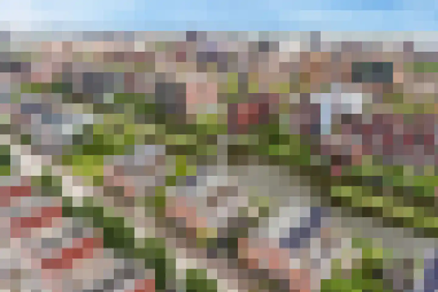 Zwanebloemlaan 39 Amsterdam thumbnail 31
