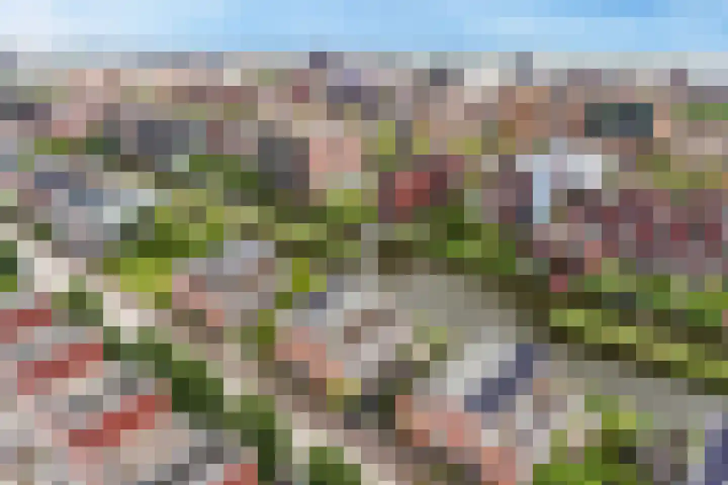 Zwanebloemlaan 39 Amsterdam thumbnail 31