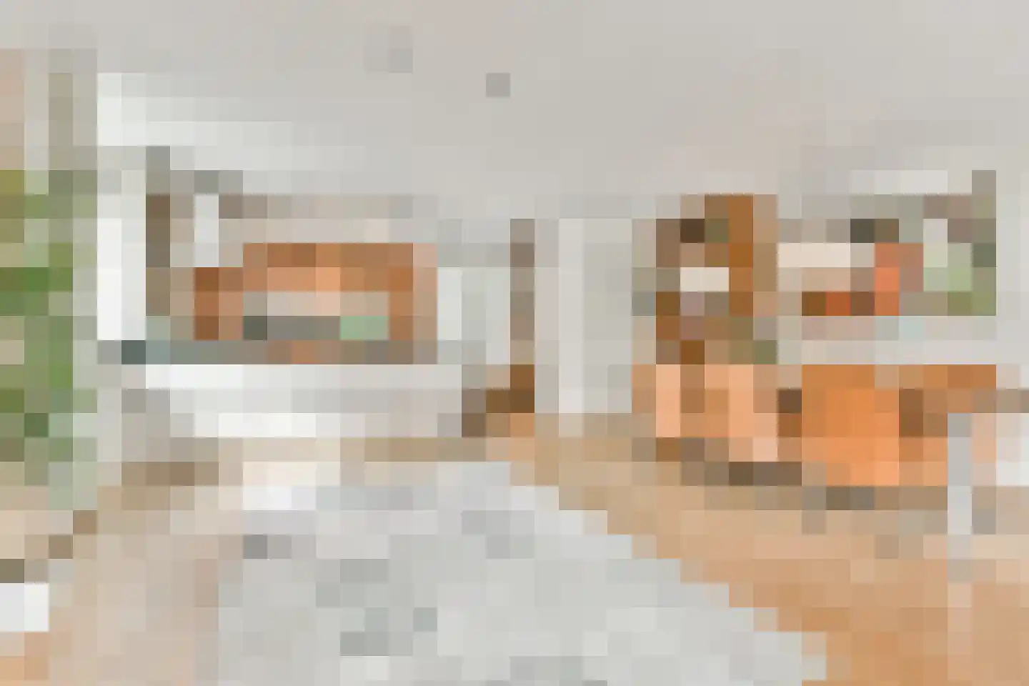 Zwanebloemlaan 39 Amsterdam thumbnail 9