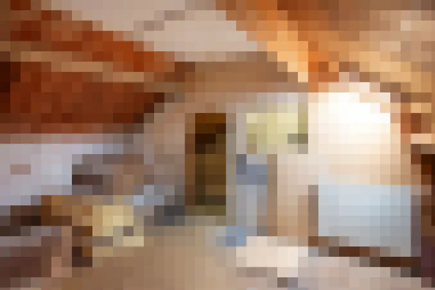 Zwanebloemlaan 55 Arnhem thumbnail 21