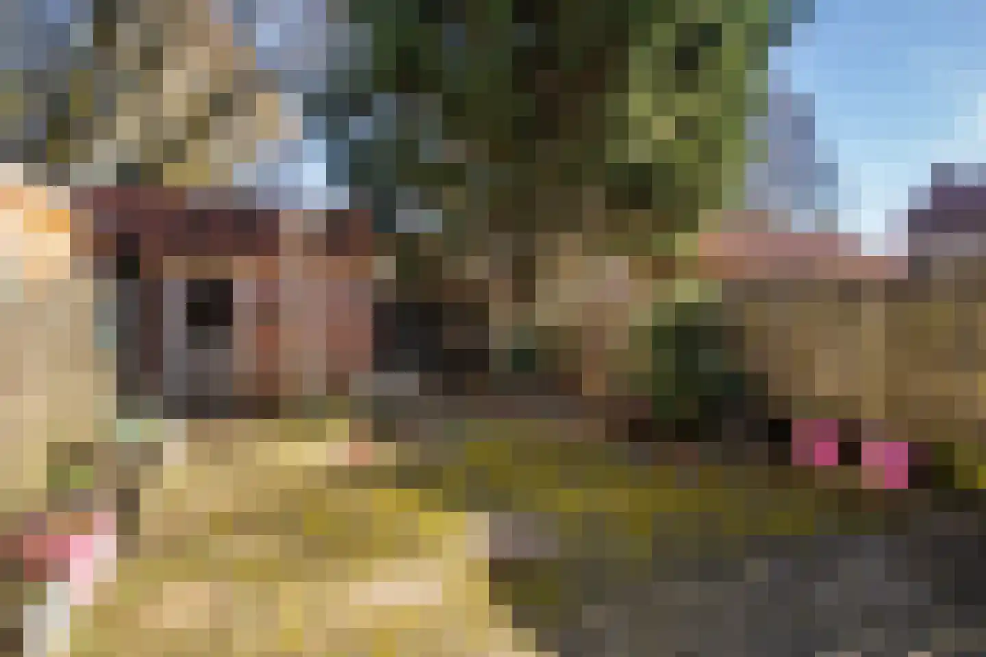 Zwanebloemlaan 55 Arnhem thumbnail 25